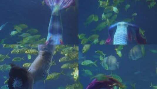【镜头合集】潜水员水下表演美人鱼海底高清在线视频素材下载