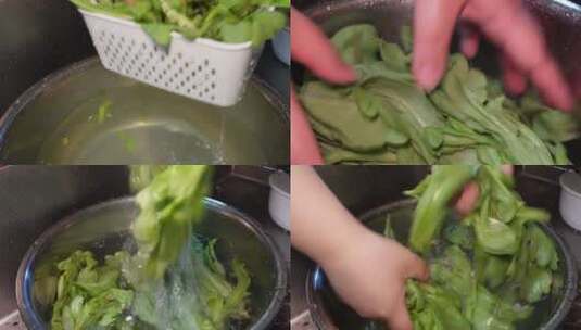 【镜头合集】清洗绿色蔬菜西蓝花油麦菜高清在线视频素材下载