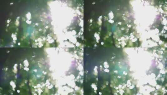 夏日树叶斑驳的光影高清在线视频素材下载