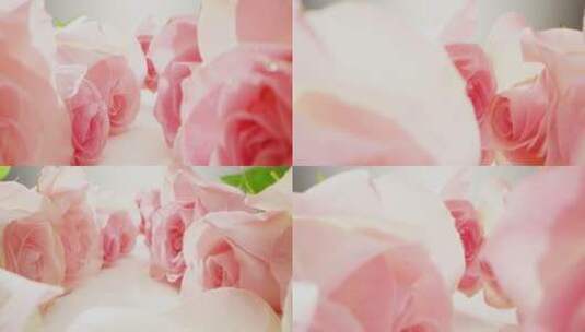 镜头穿梭粉色玫瑰花丛高清在线视频素材下载