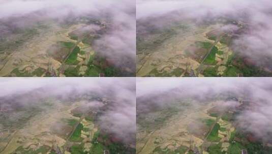 4k航拍清晨云雾下的农村 3高清在线视频素材下载