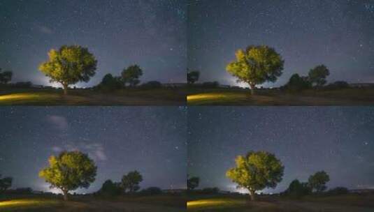 新疆阿勒泰夜晚一棵树星空银河自然风光延时高清在线视频素材下载