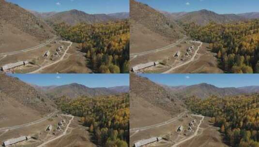 新疆禾木乡村建筑秋天的自然风光高清在线视频素材下载