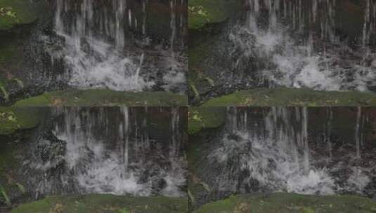 清新植物溪水流淌8K实拍高清在线视频素材下载