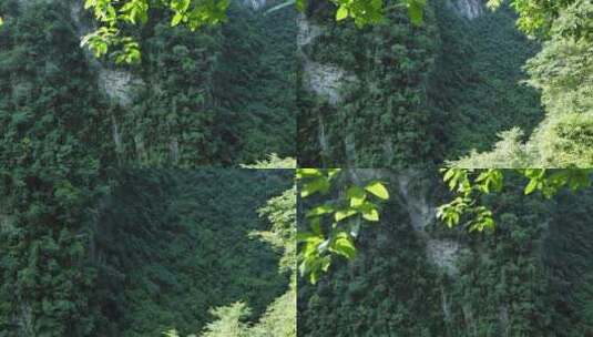 山上绿植自然风景高清在线视频素材下载