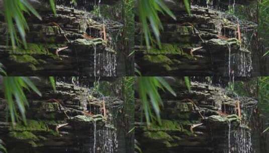 广州岭南园林余荫山房园林景观水景高清在线视频素材下载