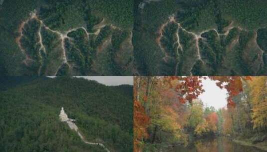 『4K航拍』森林秋景高清在线视频素材下载