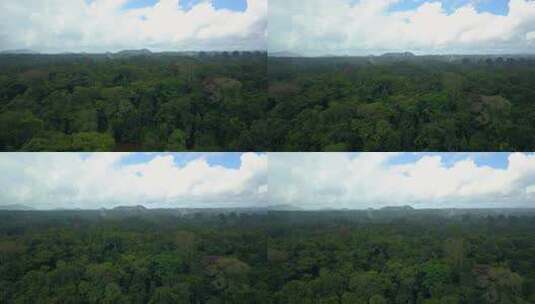 直升机在雨林上空低空飞行高清在线视频素材下载