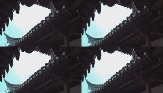 清明时节拍摄南京古园林瞻园高清在线视频素材下载