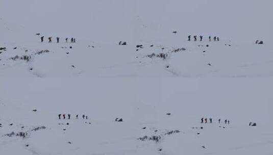 攀登岷山山脉都日峰的登山者在雪中徒步行进高清在线视频素材下载