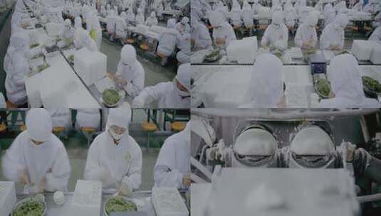 饺子生产线高清在线视频素材下载