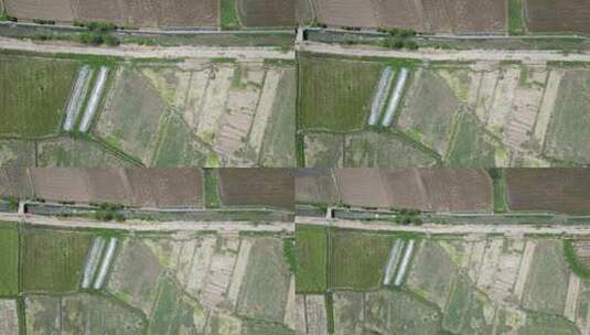 俯拍农田农业种植水田高清在线视频素材下载