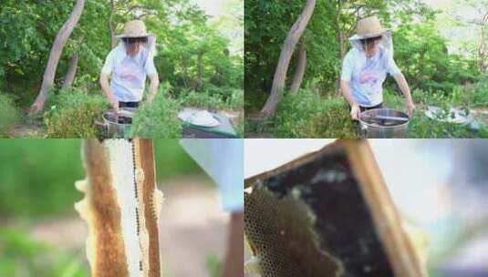 养蜂人 蜜蜂高清在线视频素材下载