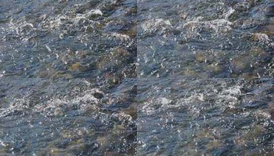 阳光下清澈的水流溪流河流慢镜头高清在线视频素材下载