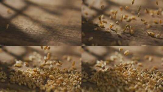小麦粒掉落高清在线视频素材下载