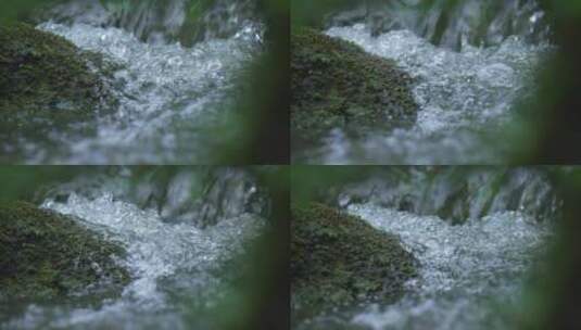 水源溪流 清澈溪流 溪水生态植被高清在线视频素材下载