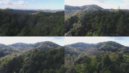 云南普洱山林风景航拍4K高清在线视频素材下载