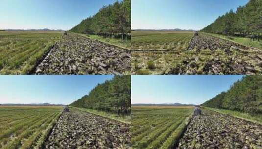 航拍黑龙江北大荒拖拉机在水稻田秋翻地高清在线视频素材下载