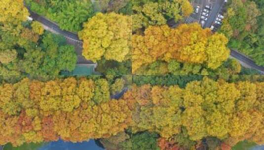 武汉东湖风景区深秋风光高清在线视频素材下载