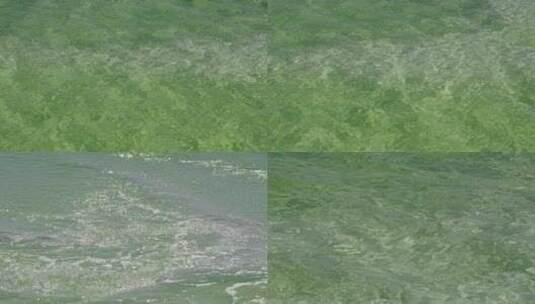 察尔汗盐湖的翠绿水世界高清在线视频素材下载