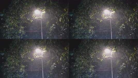 雨夜中的树叶遮挡的路灯特写高清在线视频素材下载