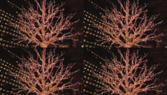 夜晚闪烁灯光的圣诞树高清在线视频素材下载