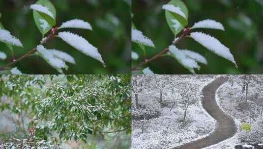 冬季雪景下雪空镜高清在线视频素材下载