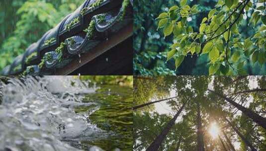 下雨天 梅雨季节高清在线视频素材下载