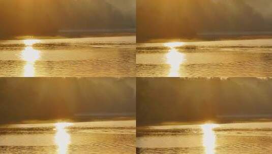 4K清晨游泳唯美意境清晨光影光线阳光高清在线视频素材下载