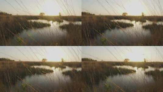 稀树大草原上被干草包围的湖泊高清在线视频素材下载