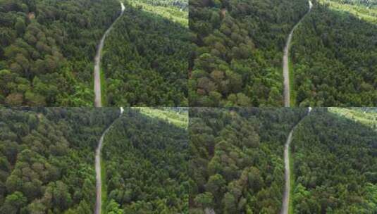 航拍森林中的道路高清在线视频素材下载