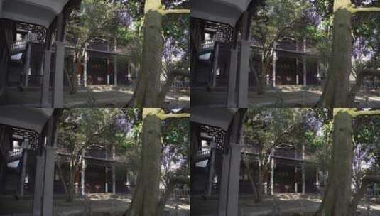 杭州西湖花港观鱼马一浮纪念馆高清在线视频素材下载