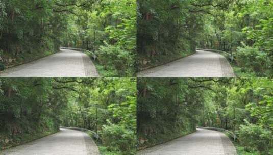 杭州西湖玉皇山绿道高清在线视频素材下载