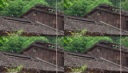 融入自然的三宝陶艺村高清在线视频素材下载