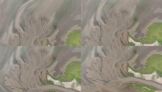 鄱阳湖之树航拍，自然的画笔高清在线视频素材下载
