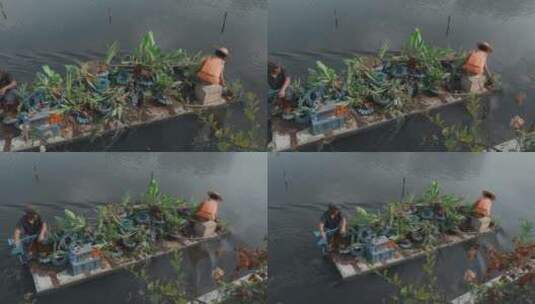 环卫工人视频乘小舟清理河道湖泊水面垃圾高清在线视频素材下载
