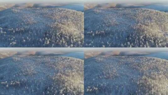冰雪森林、高山雾凇高清在线视频素材下载