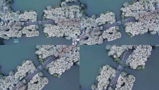 杭州西湖雪景 杨公堤隐秀桥高清在线视频素材下载