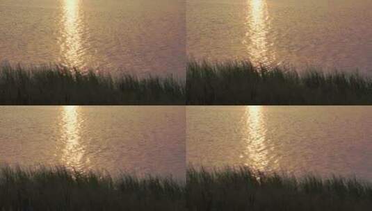 湖面反光日落反光金光灿灿波光粼粼空镜头高清在线视频素材下载