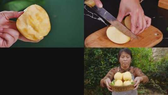 维纳斯黄金苹果高清在线视频素材下载