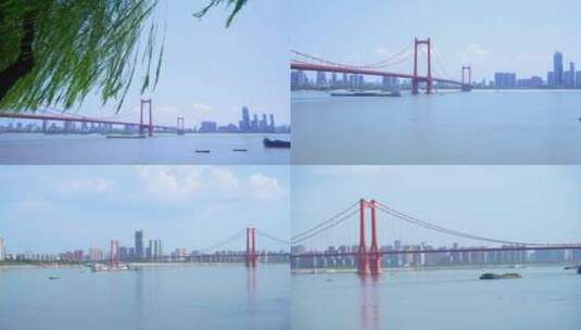 武汉汉阳江滩鹦鹉洲长江大桥4K视频合集高清在线视频素材下载