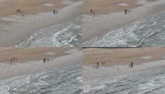 航拍俯瞰威海金海滩海水浴场沙滩游人与海鸥高清在线视频素材下载