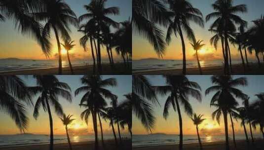三亚的夕阳椰树高清在线视频素材下载
