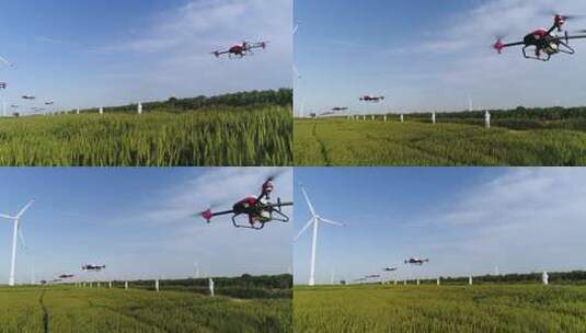 航拍无人机喷洒农药高清在线视频素材下载