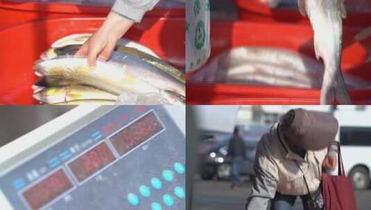 0303 买鱼卖鱼高清在线视频素材下载