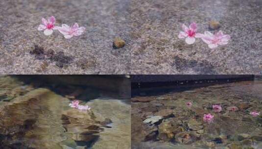 流水落花-桃花在水中飘流高清在线视频素材下载