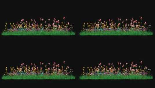 花丛花草鲜花循环动画高清在线视频素材下载