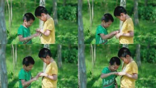 两个小孩在树林里捉虫子 玩蚱蜢 蝗虫高清在线视频素材下载