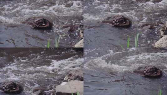 湖泊河流河水冲刷石头高清在线视频素材下载