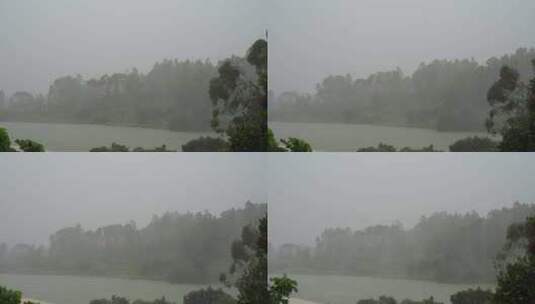 台风森林狂风暴雨风吹树林风吹雨打树木下雨高清在线视频素材下载